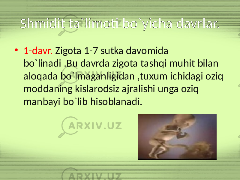 Shmidit ta`limoti bo`yicha davrlar. • 1-davr. Zigota 1-7 sutka davomida bo`linadi .Bu davrda zigota tashqi muhit bilan aloqada bo`lmaganligidan ,tuxum ichidagi oziq moddaning kislarodsiz ajralishi unga oziq manbayi bo`lib hisoblanadi. 