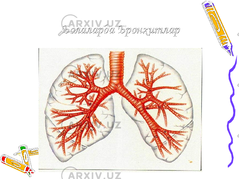 Болаларда Бронхитлар 