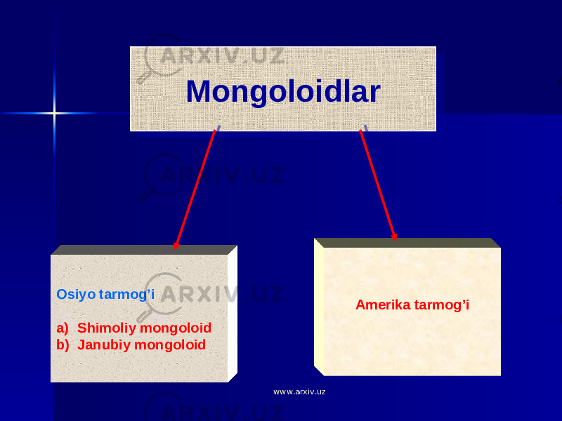 Mongoloidlar Osiyo tarmog’i a) Shimoliy mongoloid b) Janubiy mongoloid Amerika tarmog’i www.arxiv.uzwww.arxiv.uz24 