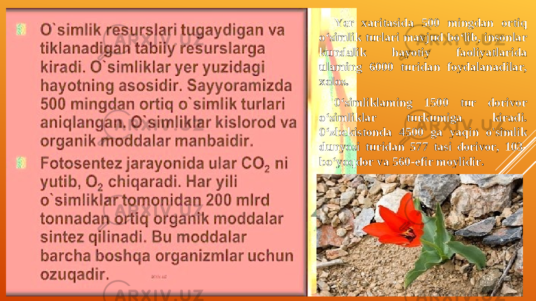   Yer xaritasida 500 mingdan ortiq o‘simlik turlari mavjud bo‘lib, insonlar kundalik hayotiy faoliyatlarida ulaming 6000 turidan foydalanadilar, xolos.  0‘simliklaming 1500 tur dorivor o‘simliklar turkumiga kiradi. 0‘zbekistonda 4500 ga yaqin o&#39;simlik dunyosi turidan 577 tasi dorivor, 103- bo‘yoqdor va 560-efir moylidir. 