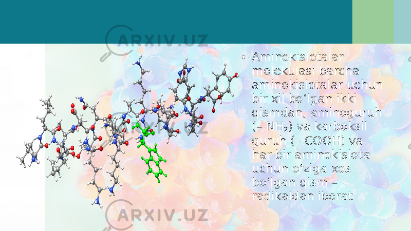 • Aminokislotalar molekulasi barcha aminokislotalar uchun bir xil bo‘lgan ikki qismdan, aminoguruh (– NH 2 ) va karboksil guruh (– COOH) va har bir aminokislota uchun o‘ziga xos bo‘lgan qism – radikaldan iborat 