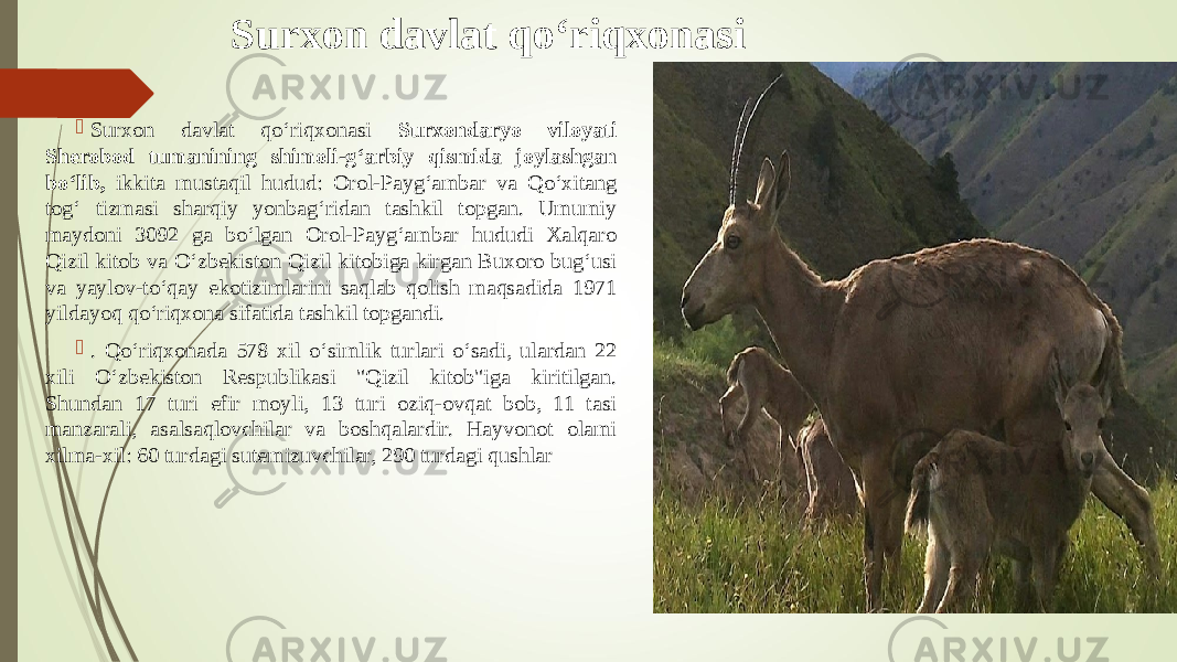 Surxon davlat qо‘riqxonasi  Surxon davlat qо‘riqxonasi Surxondaryo viloyati Sherobod tumanining shimoli-g‘arbiy qismida joylashgan bо‘lib, ikkita mustaqil hudud: Orol-Payg‘ambar va Qо‘xitang tog‘ tizmasi sharqiy yonbag‘ridan tashkil topgan. Umumiy maydoni 3092 ga bо‘lgan Orol-Payg‘ambar hududi Xalqaro Qizil kitob va О‘zbekiston Qizil kitobiga kirgan Buxoro bug‘usi va yaylov-tо‘qay ekotizimlarini saqlab qolish maqsadida 1971 yildayoq qо‘riqxona sifatida tashkil topgandi.  . Qо‘riqxonada 578 xil о‘simlik turlari о‘sadi, ulardan 22 xili О‘zbekiston Respublikasi &#34;Qizil kitob&#34;iga kiritilgan. Shundan 17 turi efir moyli, 13 turi oziq-ovqat bob, 11 tasi manzarali, asalsaqlovchilar va boshqalardir. Hayvonot olami xilma-xil: 60 turdagi sutemizuvchilar, 290 turdagi qushlar 