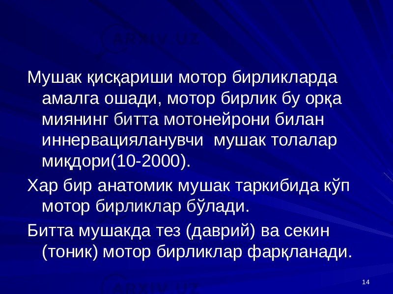 14Мушак қисқариши мотор бирликларда амалга ошади, мотор бирлик бу орқа миянинг битта мотонейрони билан иннервацияланувчи мушак толалар миқдори(10-2000). Хар бир анатомик мушак таркибида кўп мотор бирликлар бўлади. Битта мушакда тез (даврий) ва секин (тоник) мотор бирликлар фарқланади. 