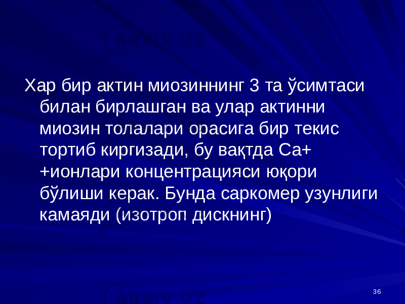 36Хар бир актин миозиннинг 3 та ўсимтаси билан бирлашган ва улар актинни миозин толалари орасига бир текис тортиб киргизади, бу вақтда Са+ +ионлари концентрацияси юқори бўлиши керак. Бунда саркомер узунлиги камаяди (изотроп дискнинг) 