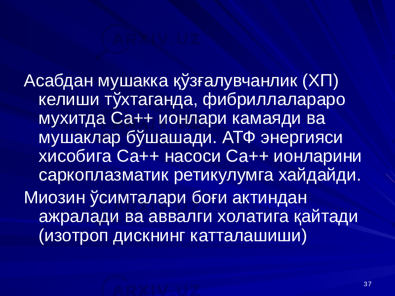 37Асабдан мушакка қўзғалувчанлик (ХП) келиши тўхтаганда, фибриллалараро мухитда Са++ ионлари камаяди ва мушаклар бўшашади. АТФ энергияси хисобига Са++ насоси Са++ ионларини саркоплазматик ретикулумга хайдайди. Миозин ўсимталари боғи актиндан ажралади ва аввалги холатига қайтади (изотроп дискнинг катталашиши) 