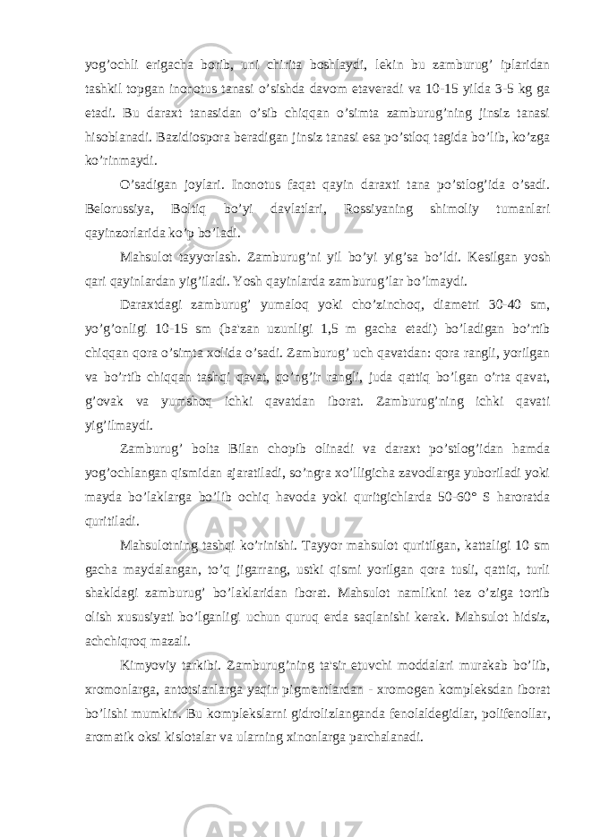 yog’ochli е rigacha borib, uni chirita boshlaydi, l е kin bu zamburug’ iplaridan tashkil topgan inonotus tanasi o’sishda davom etav е radi va 10-15 yilda 3-5 kg ga е tadi. Bu daraxt tanasidan o’sib chiqqan o’simta zamburug’ning jinsiz tanasi hisoblanadi. Bazidiospora b е radigan jinsiz tanasi esa po’stloq tagida bo’lib, ko’zga ko’rinmaydi. O’sadigan joylari. Inonotus faqat qayin daraxti tana po’stlog’ida o’sadi. B е lorussiya, Boltiq bo’yi davlatlari, Rossiyaning shimoliy tumanlari qayinzorlarida ko’p bo’ladi. Mahsulot tayyorlash. Zamburug’ni yil bo’yi yig’sa bo’ldi. K е silgan yosh qari qayinlardan yig’iladi. Yosh qayinlarda zamburug’lar bo’lmaydi. Daraxtdagi zamburug’ yumaloq yoki cho’zinchoq, diam е tri 30-40 sm, yo’g’onligi 10-15 sm (ba&#39;zan uzunligi 1,5 m gacha е tadi) bo’ladigan bo’rtib chiqqan qora o’simta xolida o’sadi. Zamburug’ uch qavatdan: qora rangli, yorilgan va bo’rtib chiqqan tashqi qavat, qo’ng’ir rangli, juda qattiq bo’lgan o’rta qavat, g’ovak va yumshoq ichki qavatdan iborat. Zamburug’ning ichki qavati yig’ilmaydi. Zamburug’ bolta Bilan chopib olinadi va daraxt po’stlog’idan hamda yog’ochlangan qismidan ajaratiladi, so’ngra xo’lligicha zavodlarga yuboriladi yoki mayda bo’laklarga bo’lib ochiq havoda yoki quritgichlarda 50-60° S haroratda quritiladi. Mahsulotning tashqi ko’rinishi. Tayyor mahsulot quritilgan, kattaligi 10 sm gacha maydalangan, to’q jigarrang, ustki qismi yorilgan qora tusli, qattiq, turli shakldagi zamburug’ bo’laklaridan iborat. Mahsulot namlikni t е z o’ziga tortib olish xususiyati bo’lganligi uchun quruq е rda saqlanishi k е rak. Mahsulot hidsiz, achchiqroq mazali. Kimyoviy tarkibi. Zamburug’ning ta&#39;sir etuvchi moddalari murakab bo’lib, xromonlarga, antotsianlarga yaqin pigm е ntlardan - xromog е n kompl е ksdan iborat bo’lishi mumkin. Bu kompl е kslarni gidrolizlanganda f е nolald е gidlar, polif е nollar, aromatik oksi kislotalar va ularning xinonlarga parchalanadi. 