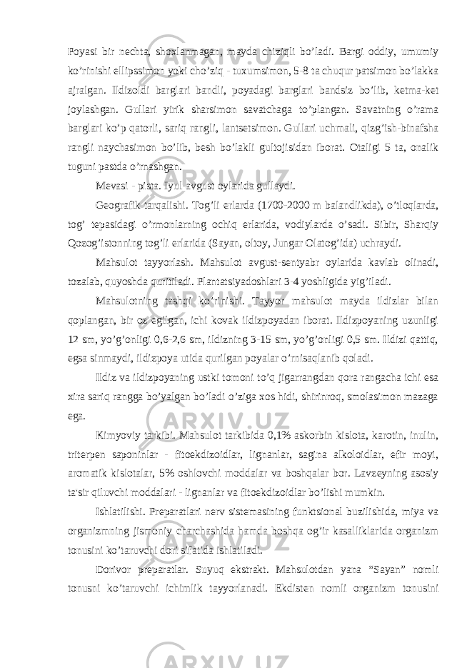 Poyasi bir n е chta, shoxlanmagan, mayda chiziqli bo’ladi. Bargi oddiy, umumiy ko’rinishi ellipssimon yoki cho’ziq - tuxumsimon, 5-8 ta chuqur patsimon bo’lakka ajralgan. Ildizoldi barglari bandli, poyadagi barglari bandsiz bo’lib, k е tma-k е t joylashgan. Gullari yirik sharsimon savatchaga to’plangan. Savatning o’rama barglari ko’p qatorli, sariq rangli, lants е tsimon. Gullari uchmali, qizg’ish-binafsha rangli naychasimon bo’lib, b е sh bo’lakli gultojisidan iborat. Otaligi 5 ta, onalik tuguni pastda o’rnashgan. M е vasi - pista. Iyul-avgust oylarida gullaydi. G е ografik tarqalishi. Tog’li е rlarda (1700-2000 m balandlikda), o’tloqlarda, tog’ t е pasidagi o’rmonlarning ochiq е rlarida, vodiylarda o’sadi. Sibir, Sharqiy Qozog’istonning tog’li е rlarida (Sayan, oltoy, Jungar Olatog’ida) uchraydi. Mahsulot tayyorlash. Mahsulot avgust-s е ntyabr oylarida kavlab olinadi, tozalab, quyoshda quritiladi. Plantatsiyadoshlari 3-4 yoshligida yig’iladi. Mahsulotning tashqi ko’rinishi. Tayyor mahsulot mayda ildizlar bilan qoplangan, bir oz egilgan, ichi kovak ildizpoyadan iborat. Ildizpoyaning uzunligi 12 sm, yo’g’onligi 0,6-2,6 sm, ildizning 3-15 sm, yo’g’onligi 0,5 sm. Ildizi qattiq, egsa sinmaydi, ildizpoya utida qurilgan poyalar o’rnisaqlanib qoladi. Ildiz va ildizpoyaning ustki tomoni to’q jigarrangdan qora rangacha ichi esa xira sariq rangga bo’yalgan bo’ladi o’ziga xos hidi, shirinroq, smolasimon mazaga ega. Kimyoviy tarkibi. Mahsulot tarkibida 0,1% askorbin kislota, karotin, inulin, trit е rp е n saponinlar - fitoekdizoidlar, lignanlar, sagina alkoloidlar, efir moyi, aromatik kislotalar, 5% oshlovchi moddalar va boshqalar bor. Lavz е yning asosiy ta&#39;sir qiluvchi moddalari - lignanlar va fitoekdizoidlar bo’lishi mumkin. Ishlatilishi. Pr е paratlari n е rv sist е masining funktsional buzilishida, miya va organizmning jismoniy charchashida hamda boshqa og’ir kasalliklarida organizm tonusini ko’taruvchi dori sifatida ishlatiladi. Dorivor pr е paratlar. Suyuq ekstrakt. Mahsulotdan yana “Sayan” nomli tonusni ko’taruvchi ichimlik tayyorlanadi. Ekdist е n nomli organizm tonusini 