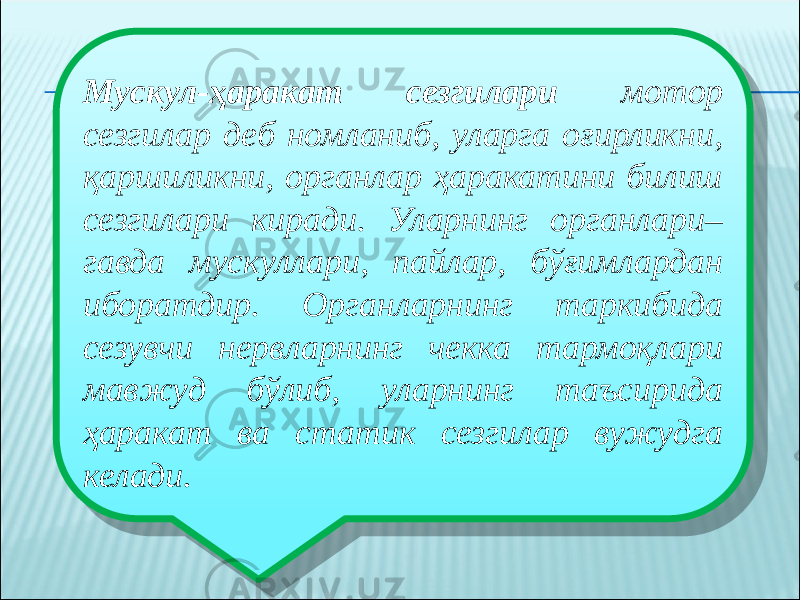 Мускул-ҳаракат сезгилари мотор сезгилар деб номланиб, уларга оғирликни, қаршиликни, органлар ҳаракатини билиш сезгилари киради. Уларнинг органлари– гавда мускуллари, пайлар, бўғимлардан иборатдир. Органларнинг таркибида сезувчи нервларнинг чекка тармоқлари мавжуд бўлиб, уларнинг таъсирида ҳаракат ва статик сезгилар вужудга келади. 