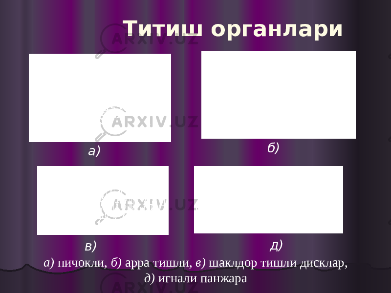 Титиш органлари а) б) в) д) а) пичокли, б) арра тишли, в) шаклдор тишли дисклар, д) игнали панжара 