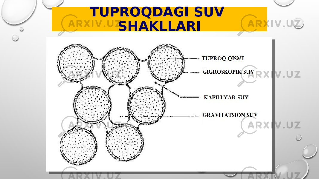 TUPROQDAGI SUV SHAKLLARI 