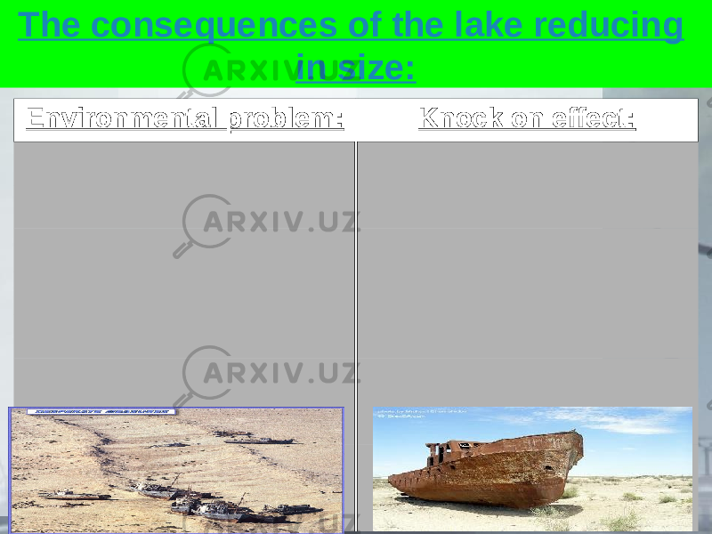 The consequences of the lake reducing in size: Environmental problem: Knock on effect: 
