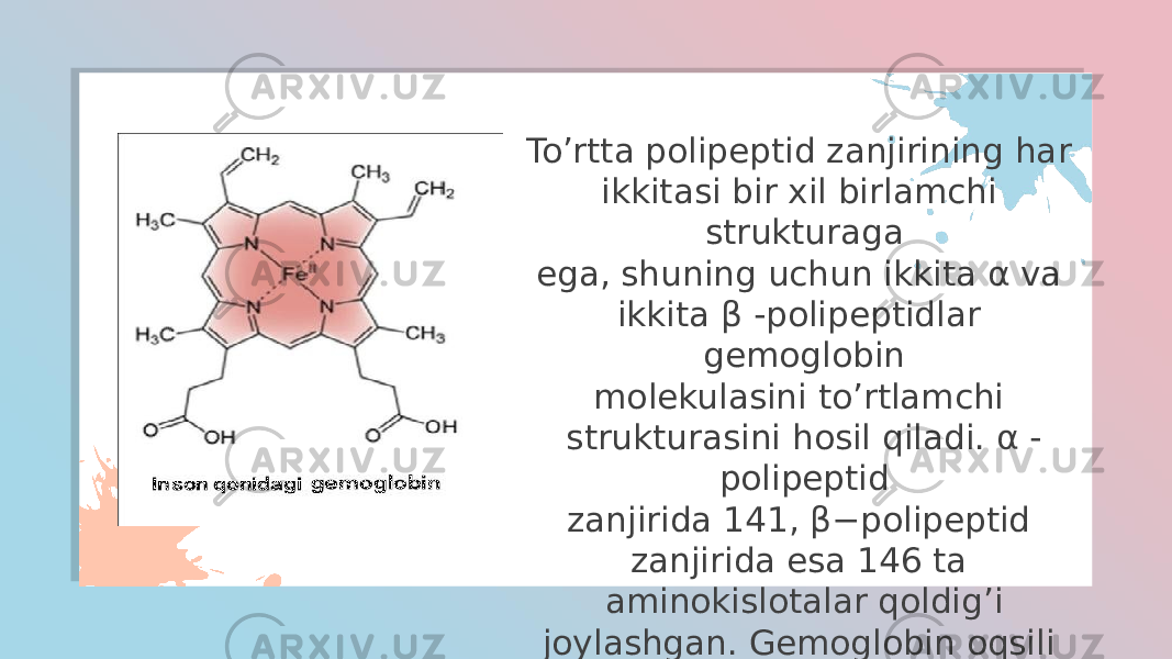 To’rtta polipeptid zanjirining har ikkitasi bir xil birlamchi strukturaga ega, shuning uchun ikkita α va ikkita β -polipeptidlar gemoglobin molekulasini to’rtlamchi strukturasini hosil qiladi. α - polipeptid zanjirida 141, β−polipeptid zanjirida esa 146 ta aminokislotalar qoldig’i joylashgan. Gemoglobin oqsili globulyar konfiguratsiyada bo’ladi 
