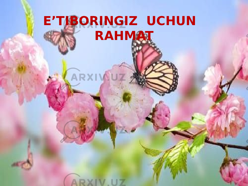 12E’TIBORINGIZ UCHUN RAHMAT 