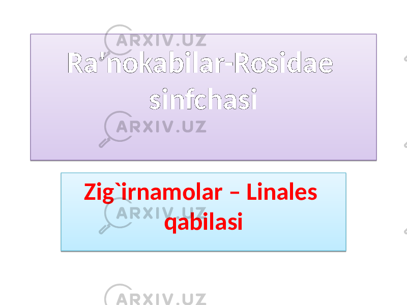 Ra&#39;nokabilar-Rosidae sinfchasi Zig`irnamolar – Linales qabilasi01 0C 13 190207 