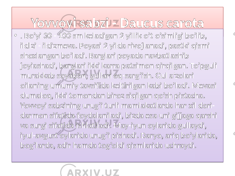 Yovvoyi sabzi - Daucus carota • . Bo’yi 30 - 100 sm keladigan 2 yillik o’t o’simligi bo’lib, ildlzi - ildizmeva. Poyasi 2 yilda rivojlanadi, pastki qismi shoxlangan bo’ladi. Barglari poyada navbatlashib joyiashadi, barglari ikki karra patsimon qirqilgan. To’pguli murakkab soyabon, gullari oq-sarg’ish. Gul a&#39;zolari oilaning umumiy tavsifida keltirilgan kabi bo’ladi. Mevasi dumaloq, ikki tomondan biroz siqilgan qo’sh pistacha. Yovvoyi sabzining urug’i turli mamlakatlarda har xil dori- darmon sifatida foydalaniladi, bizda esa uni gijjaga qarshi va surgi sifatida ishlatiladi. May-iyun oylarida gullaydi, iyul-avgust oylarida urug’i pishadi. Daryo, ariq bo’ylarida, bog’larda, adir hamda tog’oldi qismlarida uchraydi.31 01 03 2805 08 0C 3E05 16 05 0D1A 31 0D02 37 08 070514 