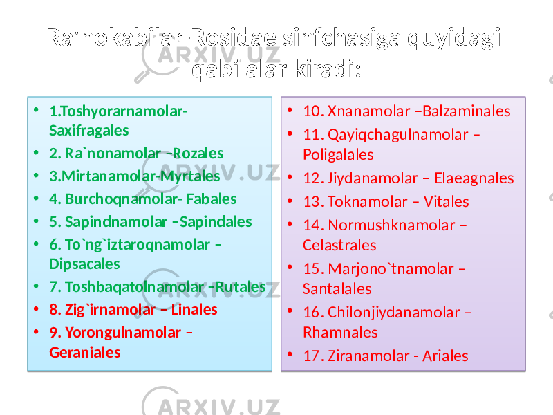 Ra&#39;nokabilar-Rosidae sinfchasiga quyidagi qabilalar kiradi: • 1.Toshyorarnamolar- Saxifragales • 2. Ra`nonamolar –Rozales • 3.Mirtanamolar-Myrtales • 4. Burchoqnamolar- Fabales • 5. Sapindnamolar –Sapindales • 6. To`ng`iztaroqnamolar – Dipsacales • 7. Toshbaqatolnamolar –Rutales • 8. Zig`irnamolar – Linales • 9. Yorongulnamolar – Geraniales • 10. Xnanamolar –Balzaminales • 11. Qayiqchagulnamolar – Poligalales • 12. Jiydanamolar – Elaeagnales • 13. Toknamolar – Vitales • 14. Normushknamolar – Celastrales • 15. Marjono`tnamolar – Santalales • 16. Chilonjiydanamolar – Rhamnales • 17. Ziranamolar - Ariales01 1D1E 20 01 221E0F 01 241E25 01 271E0F 01 2A1E0F 01 2C1E0F 2D 01 2E1E0F 01 2F1E0F 01 301E0F 320E 01 01 01 01 19 01 01 01 01 01 01 25 01 01 2A 01 01 2C 01 01 