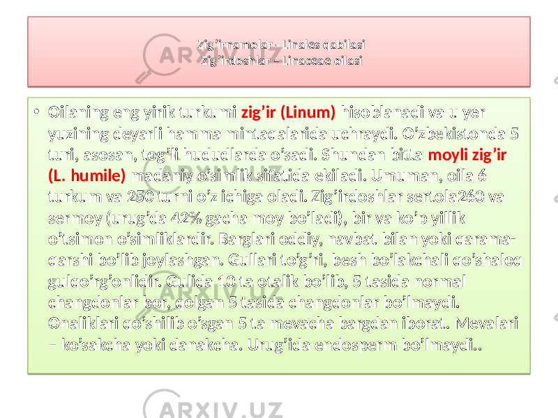 Zig’irnamolar - Linales qabilasi Zig’irdoshlar – Linaceae oilasi • Oilaning eng yirik turkumi zig’ir (Linum) hisoblanadi va u yer yuzining deyarli hamma mintaqalarida uchraydi. O’zbekistonda 5 turi, asosan, tog’li hududlarda o’sadi. Shundan bitta moyli zig’ir (L. humile) madaniy o’simlik sifatida ekiladi. Umuman, oila 6 turkum va 250 turni o’z ichiga oladi. Zig’irdoshlar sertola260 va sermoy (urug’da 42% gacha moy bo’ladi), bir va ko’p yillik o’tsimon o’simliklardir. Barglari oddiy, navbat bilan yoki qarama- qarshi bo’lib joylashgan. Gullari to’g’ri, besh bo’lakchali qo’shaloq gulqo’rg’onlidir. Gulida 10 ta otalik bo’lib, 5 tasida normal changdonlar bor, qolgan 5 tasida changdonlar bo’lmaydi. Onaliklari qo’shilib o’sgan 5 ta mevacha bargdan iborat. Mevalari – ko’sakcha yoki danakcha. Urug’ida endosperm bo’lmaydi.. 13 13 01 34 23 12 1B 26 16 35 16 26 0C 0533 19 14 11 34 17 