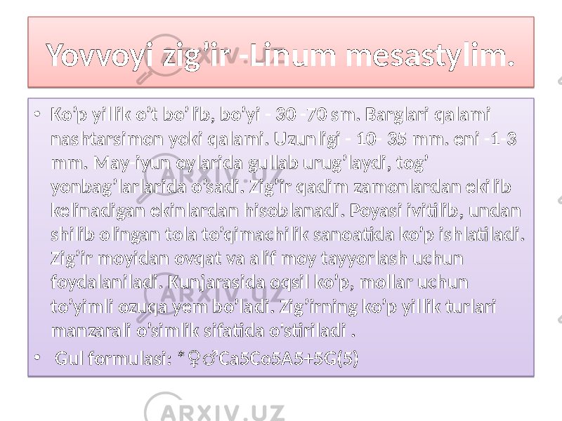 Yovvoyi zig’ir -Linum mesastylim. • Ko’p yillik o’t bo’lib, bo’yi - 30 -70 sm. Barglari qalami nashtarsimon yoki qalami. Uzunligi - 10- 35 mm. eni -1-3 mm. May-iyun oylarida gullab urug’laydi, tog’ yonbag’larlarida o’sadi. Zig’ir qadim zamonlardan ekilib kelinadigan ekinlardan hisoblanadi. Poyasi ivitilib, undan shilib olingan tola to’qimachilik sanoatida ko’p ishlatiladi. Zig’ir moyidan ovqat va alif moy tayyorlash uchun foydalaniladi. Kunjarasida oqsil ko’p, mollar uchun to’yimli ozuqa yem bo’ladi. Zig’irning ko’p yillik turlari manzarali o’simlik sifatida o&#39;stiriladi . • Gul formulasi: * Са5Со5А5+5G(5) ♀♂31 01 3F 04 16 1B 06 0C12 13 10 26 16 01 0F 321A01 