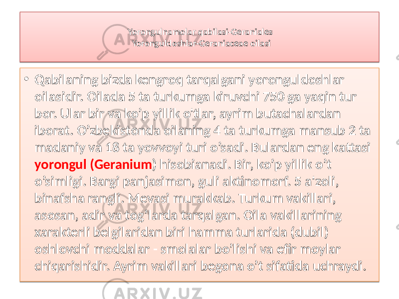 Yorongulnamolar qabilasi-Geraniales Yoronguldoshlar-Geraniaceae oilasi • Qabilaning bizda kengroq tarqalgani yoronguldoshlar oilasidir. Oilada 5 ta turkumga kiruvchi 750 ga yaqin tur bor. Ular bir va ko’p yillik o&#39;tlar, ayrim butachalardan iborat. O’zbekistonda oilaning 4 ta turkumga mansub 2 ta madaniy va 18 ta yovvoyi turi o’sadi. Bulardan eng kattasi yorongul (Geranium ) hisobianadi. Bir, ko’p yillik o’t o’simligi. Bargi panjasimon, guli aktinomorf. 5 a&#39;zoli, binafsha rangli. Mevasi murakkab. Turkum vakillari, asosan, adir va tog’larda tarqalgan. Oila vakillarining xarakterli belgilaridan biri hamma turlarida (dubil) oshlovchi moddalar - smolalar bo’lishi va efir moylar chiqarishidir. Ayrim vakillari begona o’t sifatida uchraydi . 31 31 01 47020708 05 07050A 08 16 1B 36 05 0708 020C 21 05 11 1E 