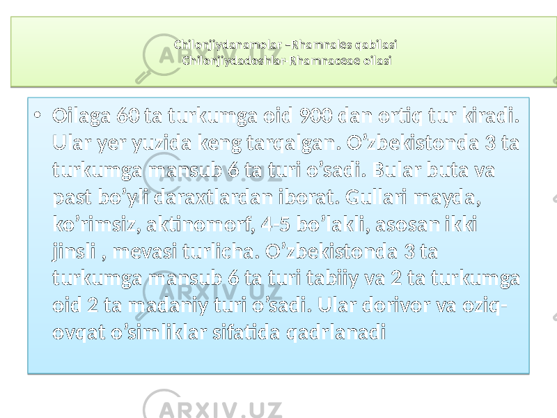 Chilonjiydanamolar –Rhamnales qabilasi Chilonjiydadoshlar-Rhamnaceae oilasi • Oilaga 60 ta turkumga oid 900 dan ortiq tur kiradi. Ular yer yuzida keng tarqalgan. O’zbekistonda 3 ta turkumga mansub 6 ta turi o’sadi. Bular buta va past bo’yli daraxtlardan iborat. Gullari mayda, ko’rimsiz, aktinomorf, 4-5 bo’lakli, asosan ikki jinsli , mevasi turlicha. O’zbekistonda 3 ta turkumga mansub 6 ta turi tabiiy va 2 ta turkumga oid 2 ta madaniy turi o’sadi. Ular dorivor va oziq- ovqat o’simliklar sifatida qadrlanadi4A 4A 04 01 34 3B 261A0A 2B02 06 3E 261A0A 05 05 