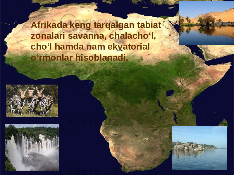  Afrikada keng tarqalgan tabiat zonalari savanna, chalacho‘l, cho‘l hamda nam ekvatorial o‘rmonlar hisoblanadi. 