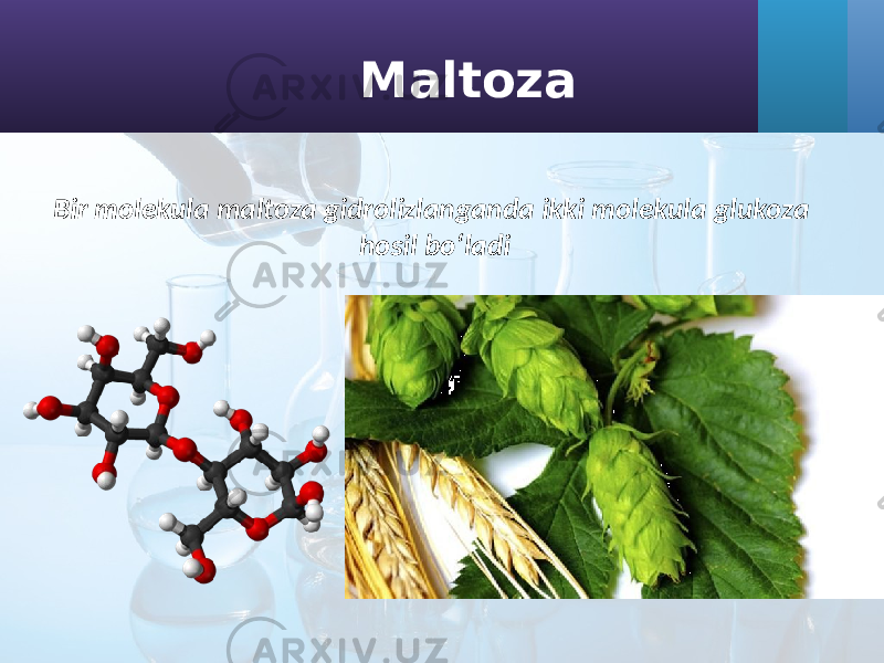 Bir molekula maltoza gidrolizlanganda ikki molekula glukoza hosil bo‘ladi Maltoza 