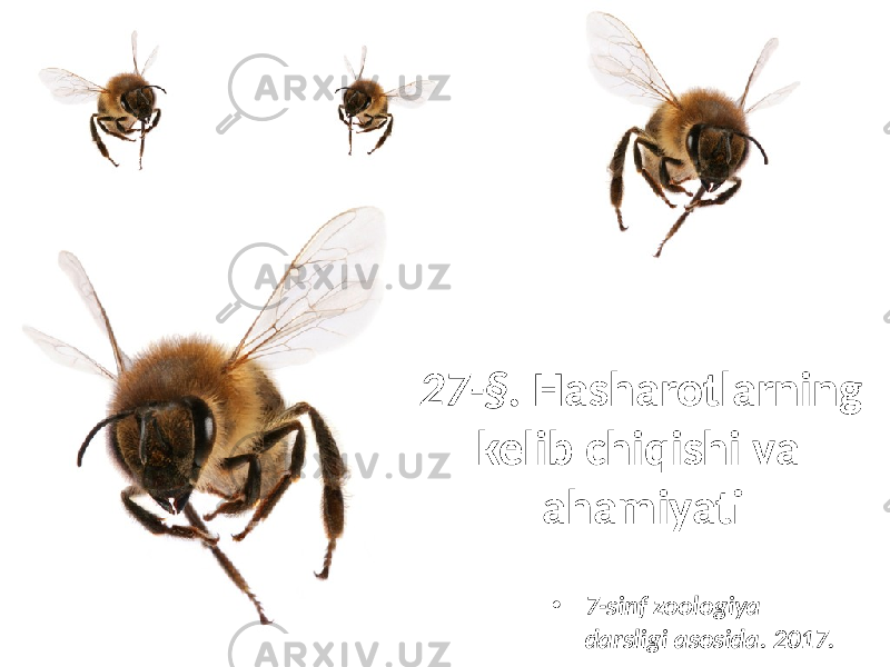 27-§. Hasharotlarning kelib chiqishi va ahamiyati • 7-sinf zoologiya darsligi asosida. 2017. 