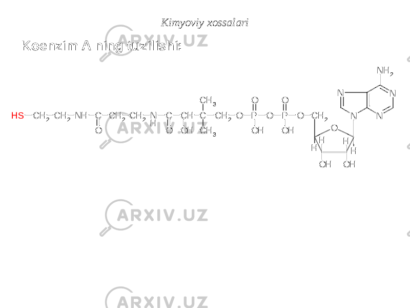 Koenzim A ning tuzilishi: Kimyoviy xossalari SH C H 2 C H 2 N H C O C H 2 C H 2 N H C O C H O H CC H 3 C H 3 C H 2 O PO O H O PO O H O N N OC H 2 H O HH O HH H N NN H 2 