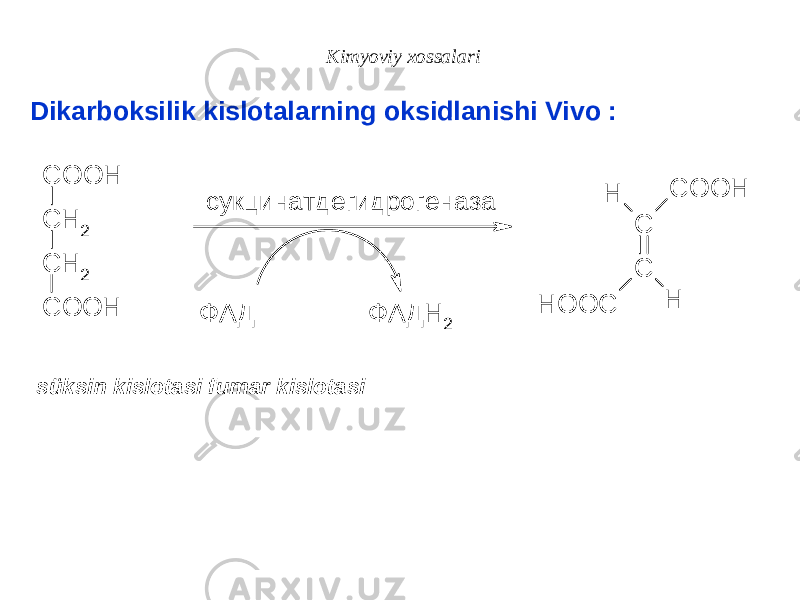 Kimyoviy xossalari Dikarboksilik kislotalarning oksidlanishi Vivo : süksin kislotasi fumar kislotasi C H 2 C H 2 C O O HC O O H C C H O O C C O O H HH сукцинатдeгидрогeназа ФАД ФАДН 2 