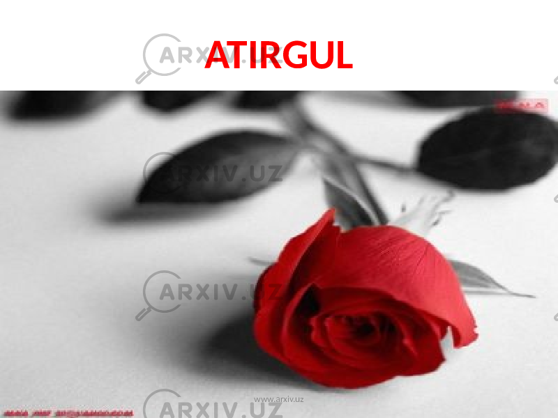 ATIRGUL www.arxiv.uz 