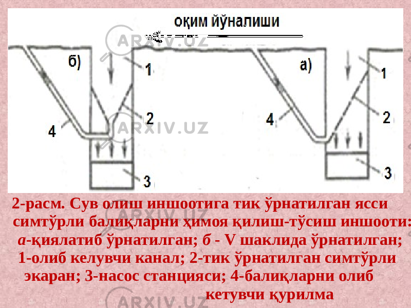 2-расм. Сув олиш иншоотига тик ўрнатилган ясси симтўрли балиқларни ҳимоя қилиш-тўсиш иншооти: а -қиялатиб ўрнатилган; б - V шаклида ўрнатилган; 1-олиб келувчи канал; 2-тик ўрнатилган симтўрли экаран; 3-насос станцияси; 4-балиқларни олиб кетувчи қурилма 