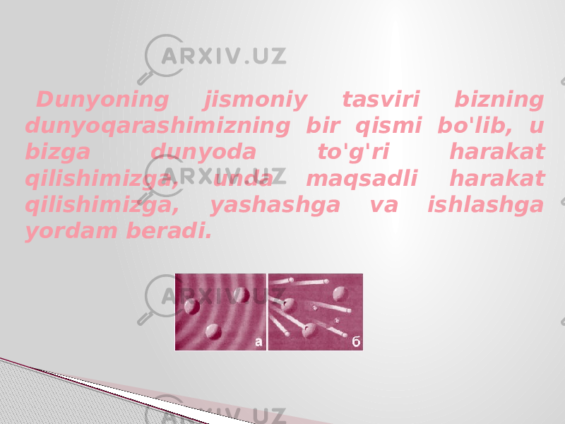 Dunyoning jismoniy tasviri bizning dunyoqarashimizning bir qismi bo&#39;lib, u bizga dunyoda to&#39;g&#39;ri harakat qilishimizga, unda maqsadli harakat qilishimizga, yashashga va ishlashga yordam beradi. 