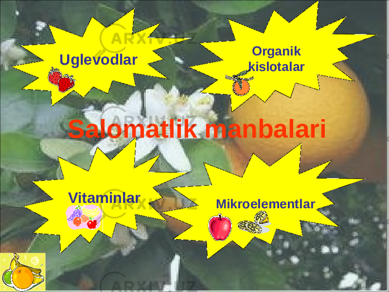 Salomatlik manbalari Vitaminlar Mikroelementlar Organik kislotalarUglevodlar 