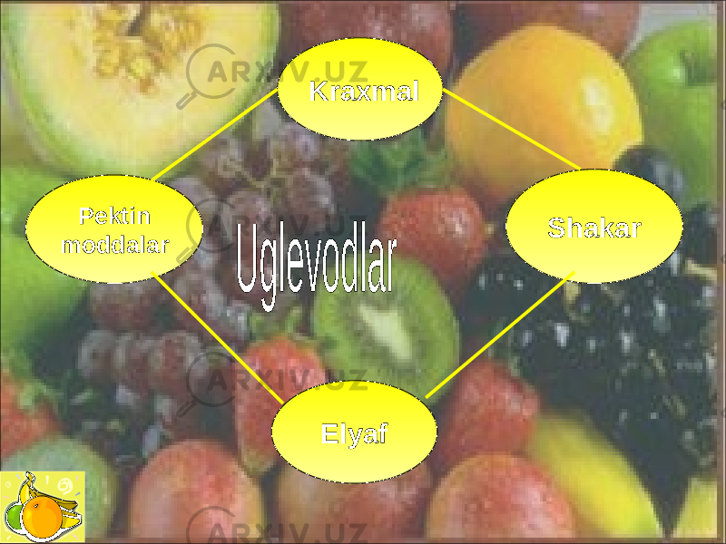 Kraxmal ElyafPektin moddalar Shakar 