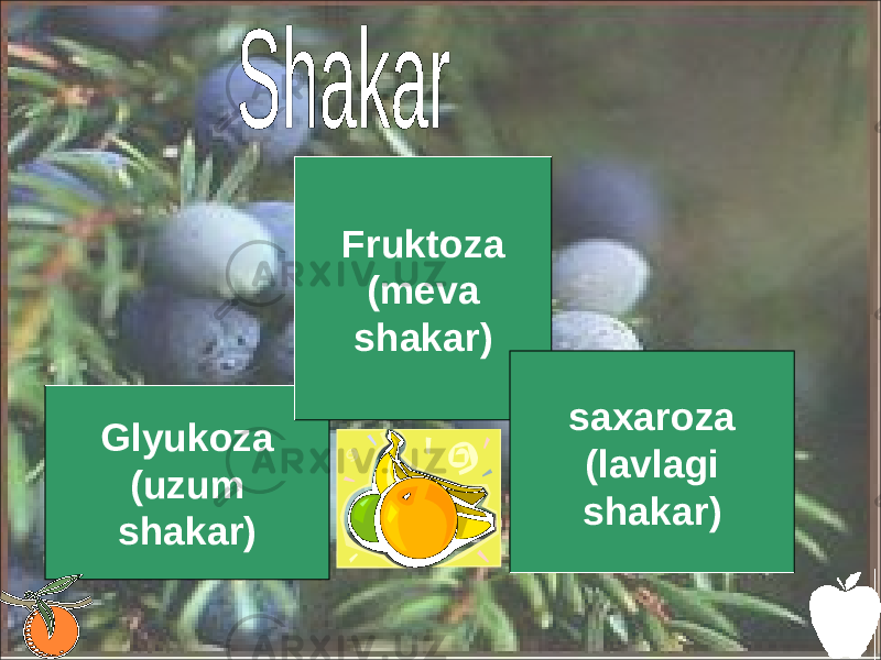 Glyukoza (uzum shakar) Fruktoza (meva shakar) saxaroza (lavlagi shakar) 