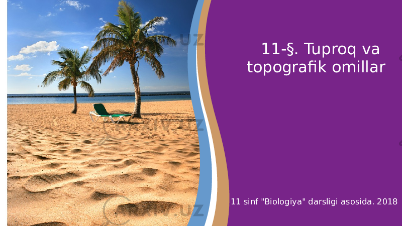 11-§. Tuproq va topografik omillar 11 sinf &#34;Biologiya&#34; darsligi asosida. 2018 