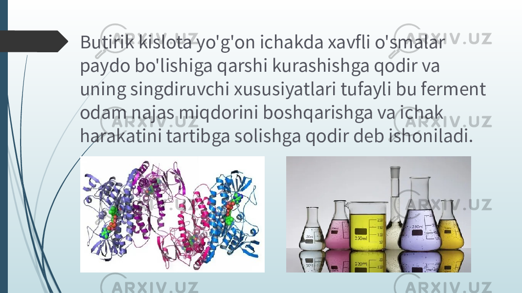 Butirik kislota yo&#39;g&#39;on ichakda xavfli o&#39;smalar paydo bo&#39;lishiga qarshi kurashishga qodir va uning singdiruvchi xususiyatlari tufayli bu ferment odam najas miqdorini boshqarishga va ichak harakatini tartibga solishga qodir deb ishoniladi. 