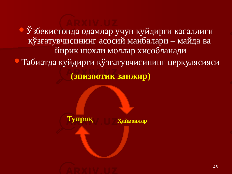 48 Ўзбекистонда одамлар учун куйдирги касаллиги қўзғатувчисининг асосий манбалари – майда ва йирик шохли моллар хисобланади  Табиатда куйдирги қўзғатувчисининг церкулясияси (эпизоотик занжир) Тупроқ Ҳайвонлар 