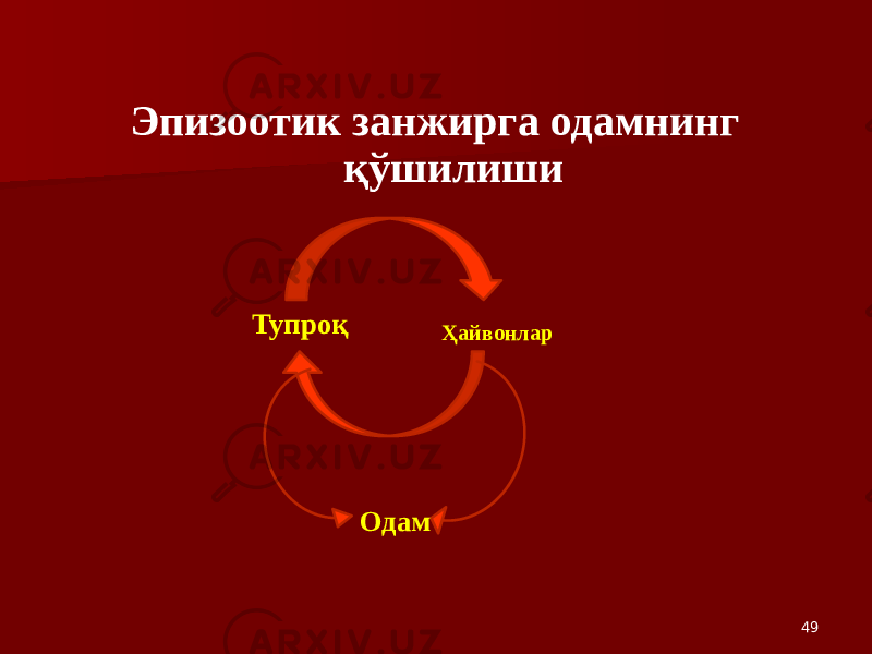 49Эпизоотик занжирга одамнинг қўшилиши Тупроқ Ҳайвонлар Одам 