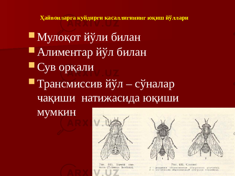 Ҳайвонларга куйдирги касаллигининг юқиш йўллари  Мулоқот йўли билан  Алиментар йўл билан  Сув орқали  Трансмиссив йўл – сўналар чақиши натижасида юқиши мумкин 