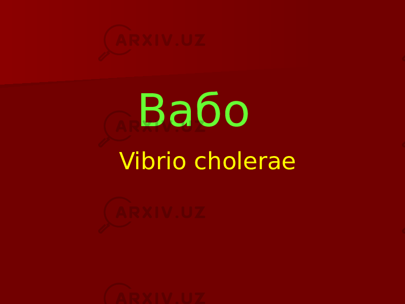 Вабо Vibrio cholerae 