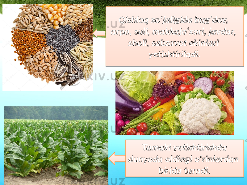 Qishloq xo‘jaligida bug‘doy, arpa, suli, makkajo‘xori, javdar, sholi, sabzavot ekinlari yetishtiriladi. Tamaki yetishtirishda dunyoda oldingi o‘rinlardan birida turadi.2E 0F 08 0D 12 0E 27 