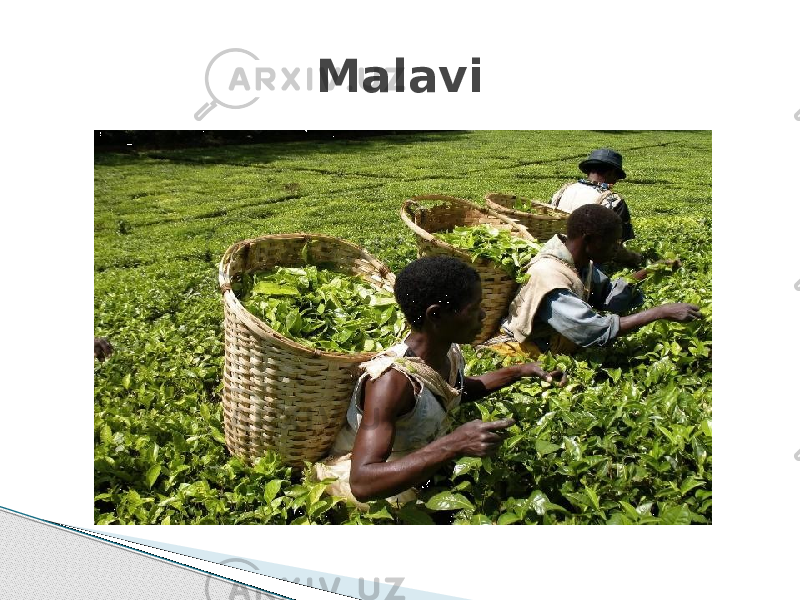 Malavi 