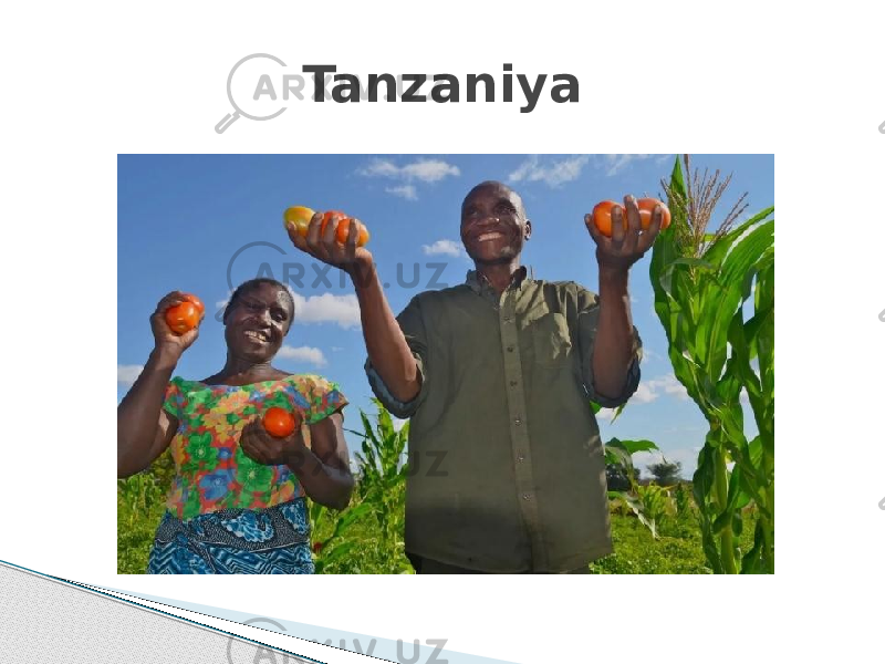 Tanzaniya 