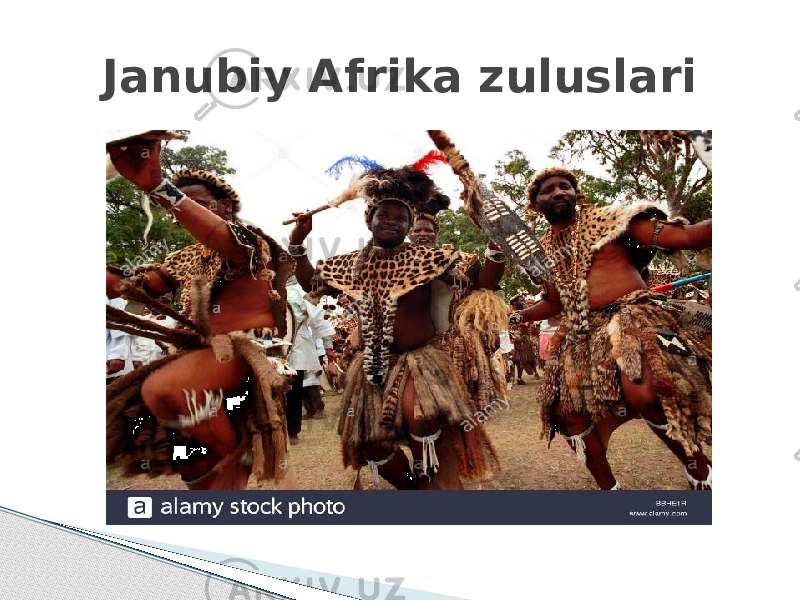 Janubiy Afrika zuluslari 