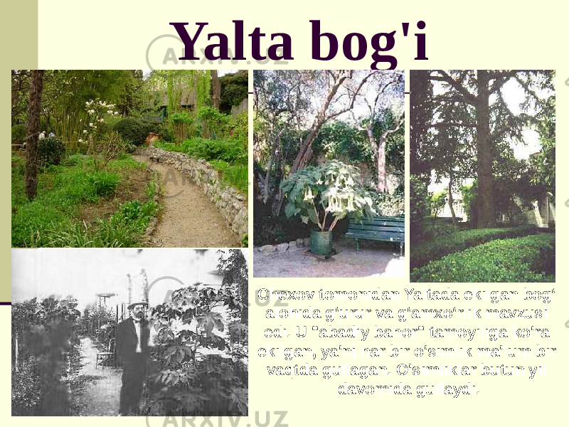 Yalta bog&#39;i Chexov tomonidan Yaltada ekilgan bog‘ alohida g‘urur va g‘amxo‘rlik mavzusi edi. U &#34;abadiy bahor&#34; tamoyiliga ko&#39;ra ekilgan, ya&#39;ni har bir o&#39;simlik ma&#39;lum bir vaqtda gullagan. O&#39;simliklar butun yil davomida gullaydi. 