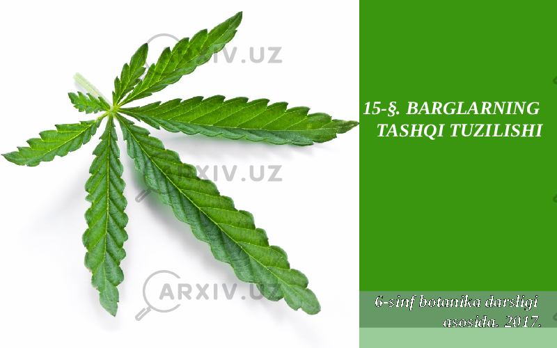 15-§. BARGLARNING TASHQI TUZILISHI 6-sinf botanika darsligi asosida. 2017. 