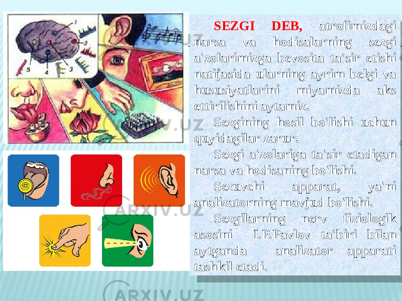 SEZGI DEB, atrofimizdagi narsa va hodisalarning sezgi a&#39;zolarimizga bevosita ta&#39;sir etishi natijasida ularning ayrim belgi va hususiyatlarini miyamizda aks ettirilishini aytamiz. Sezgining hosil bo&#39;lishi uchun quyidagilar zarur: Sezgi a&#39;zolariga ta&#39;sir etadigan narsa va hodisaning bo&#39;lishi. Sezuvchi apparat, ya&#39;ni analizatorning mavjud bo&#39;lishi. Sezgilarning nerv fiziologik asosini I.P.Pavlov ta&#39;biri bilan aytganda analizator apparati tashkil etadi.09 131914 17 1331 17 24 0A 09 21 09 17 09 1317 09 130F 1315190C1317 19130F 