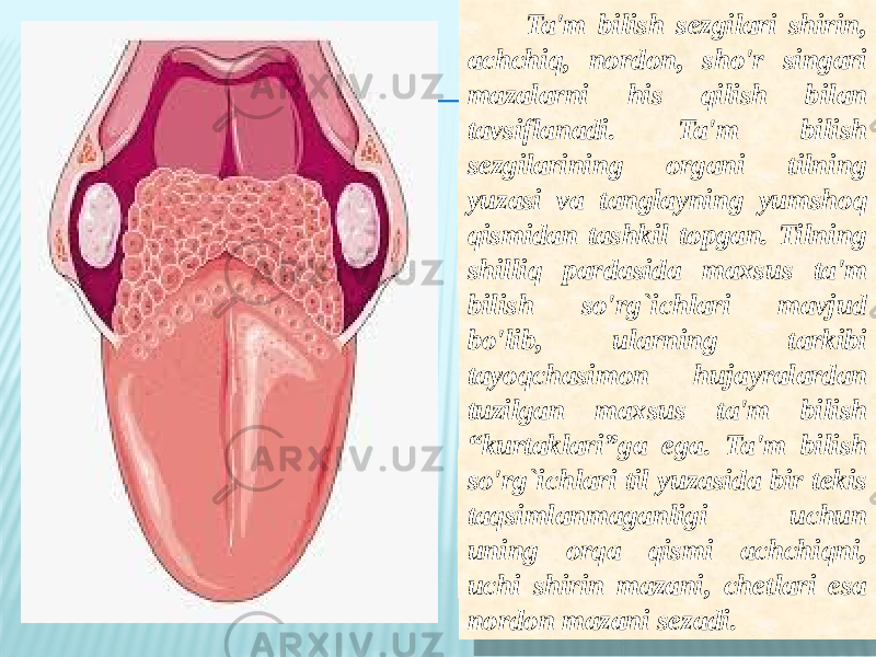  Ta&#39;m bilish sezgilari shirin, achchiq, nordon, sho&#39;r singari mazalarni his qilish bilan tavsiflanadi. Ta&#39;m bilish sezgilarining organi tilning yuzasi va tanglayning yumshoq qismidan tashkil topgan. Tilning shilliq pardasida maxsus ta&#39;m bilish so&#39;rg`ichlari mavjud bo&#39;lib, ularning tarkibi tayoqchasimon hujayralardan tuzilgan maxsus ta&#39;m bilish “kurtaklari”ga ega. Ta&#39;m bilish so&#39;rg`ichlari til yuzasida bir tekis taqsimlanmaganligi uchun uning orqa qismi achchiqni, uchi shirin mazani, chetlari esa nordon mazani sezadi. 0A 3A 0310 12 07 0C 1C 0E05 0C 1805 180817 07 07 301113 0C 07 13 13 02 