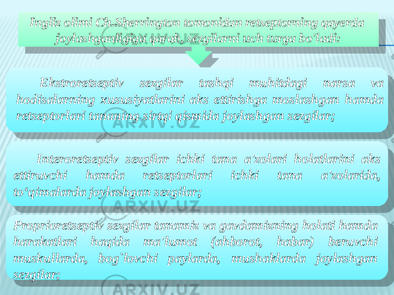 Ingliz olimi Ch.Sherrington tomonidan retseptorning qayerda joylashganligiga qarab, sezgilarni uch turga bo&#39;ladi: Ekstroretseptiv sezgilar tashqi muhitdagi narsa va hodisalarning xususiyatlarini aks ettirishga moslashgan hamda retseptorlari tananing sirtqi qismida joylashgan sezgilar; Interoretseptiv sezgilar ichki tana a&#39;zolari holatlarini aks ettiruvchi hamda retseptorlari ichki tana a&#39;zolarida, to‘qimalarda joylashgan sezgilar; Proprioretseptiv sezgilar tanamiz va gavdamizning holati hamda harakatlari haqida ma&#39;lumot (ahborot, habar) beruvchi muskullarda, bog`lovchi paylarda, mushaklarda joylashgan sezgilar;28 1B 